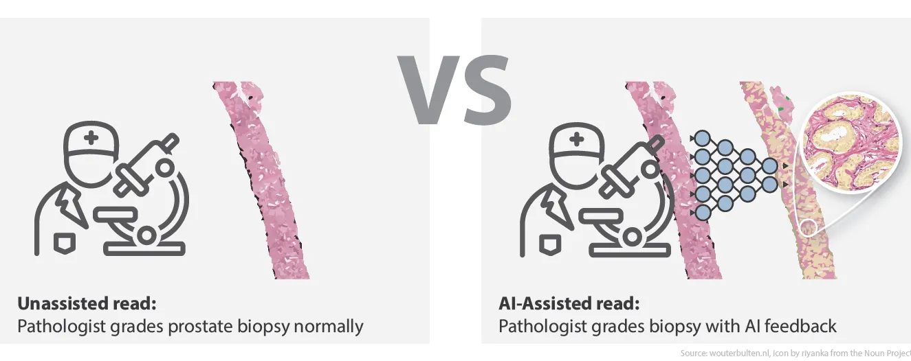Can pathologists benefit from AI-feedback? This was the central question in our study.