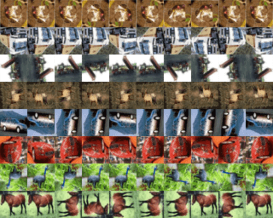 Random rotation applied to the dataset.
